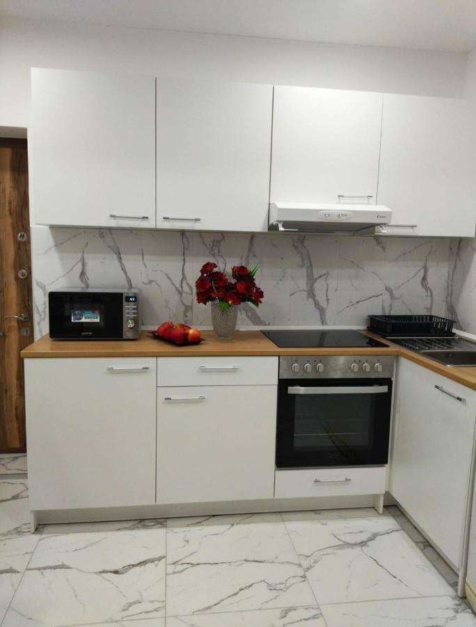Palace Luxury Apartments The Heart Of Belgrad Dış mekan fotoğraf