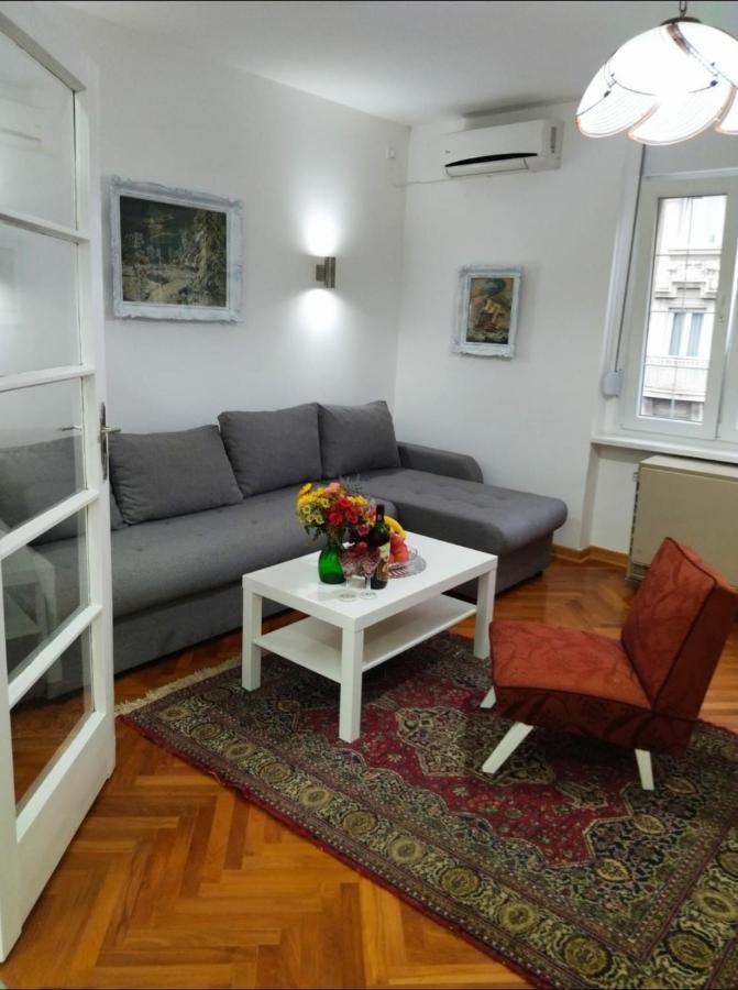 Palace Luxury Apartments The Heart Of Belgrad Dış mekan fotoğraf