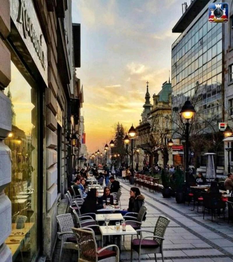 Palace Luxury Apartments The Heart Of Belgrad Dış mekan fotoğraf
