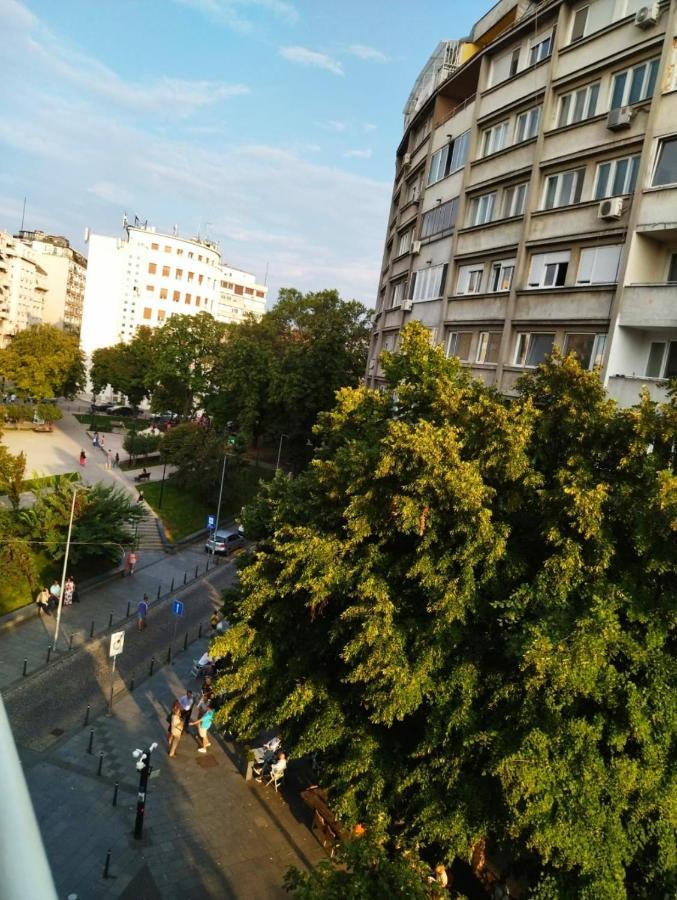 Palace Luxury Apartments The Heart Of Belgrad Dış mekan fotoğraf
