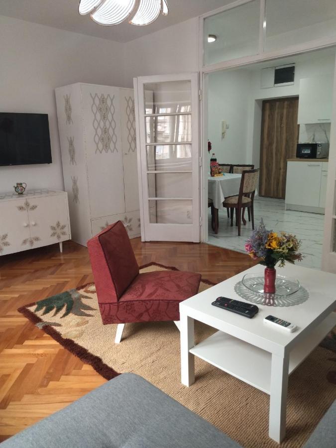 Palace Luxury Apartments The Heart Of Belgrad Dış mekan fotoğraf